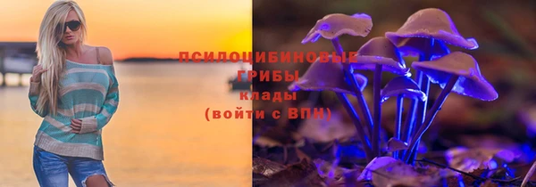 таблы Вяземский