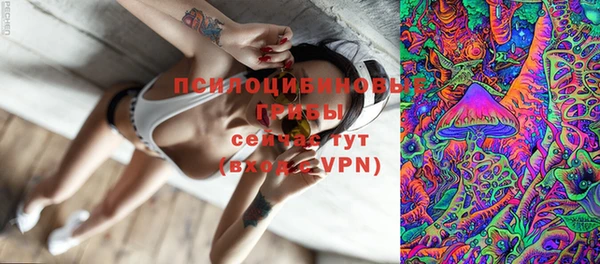 ешки Вязники