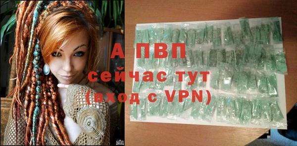 амф Горняк