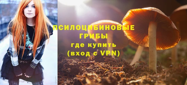 амф Горняк