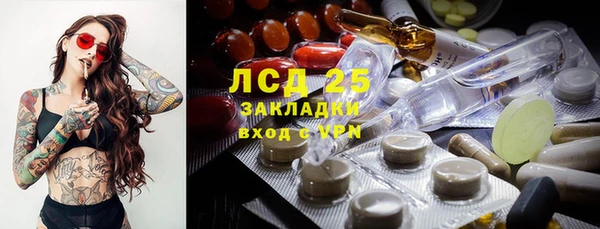 амф Горняк