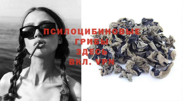таблы Вяземский