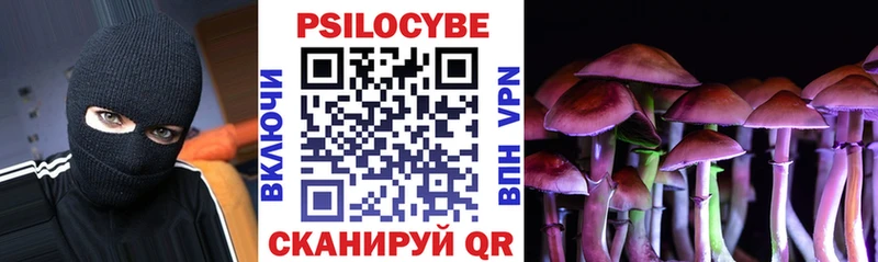 Галлюциногенные грибы Cubensis Коломна